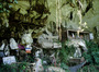 sulawesi - cave grave 2.jpg